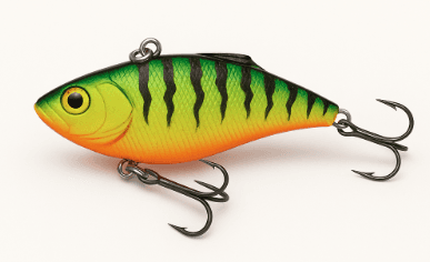Tiger Shad